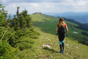 Poison Ivy, Oak, and Sumac - summer skin problems