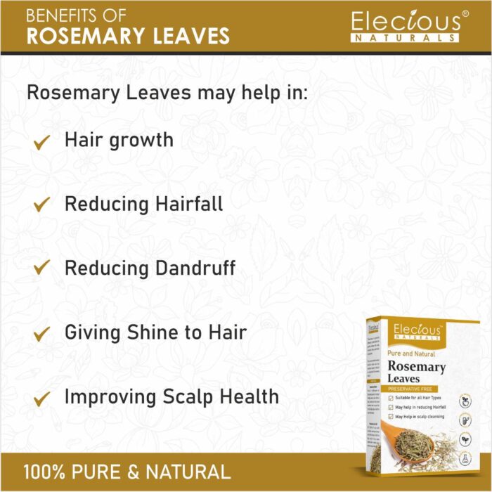 Rosemary Leaves | Dried Rosemary leaves | 100% Pure and Natural